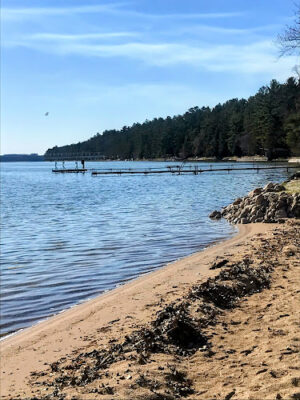 Gerrish Township Lakefront Park