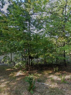 Gerrish Township Municipal Park