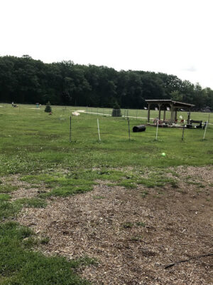 Markey Memorial Dog Park