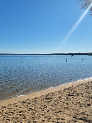 North Higgins Lake State Park