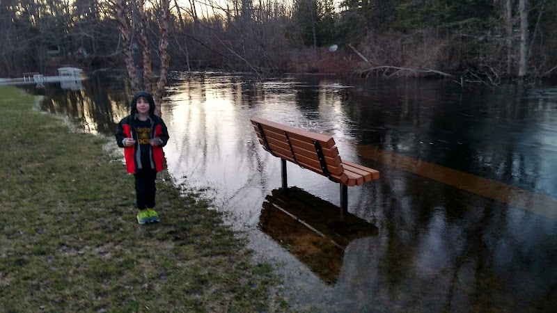Wallace Park - Roscommon,