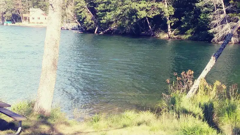 Loon Lake - Rose City,