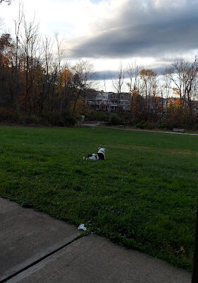 Becker Park