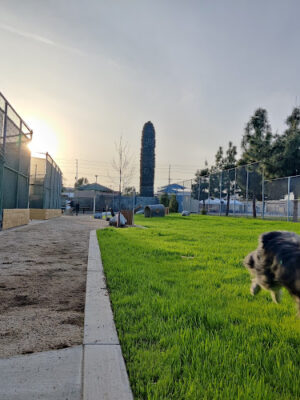 Garvey Paws Dog Park