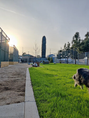 Garvey Paws Dog Park