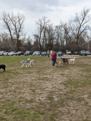 Dakota Woods Dog Park