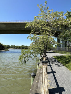 Skillman Street Park