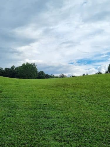 Dog Park at Leita Thompson