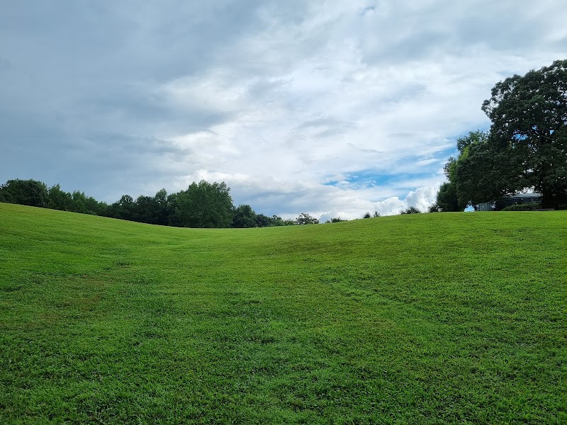 Dog Park at Leita Thompson - Roswell, GA