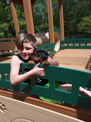 Dog Park at Leita Thompson