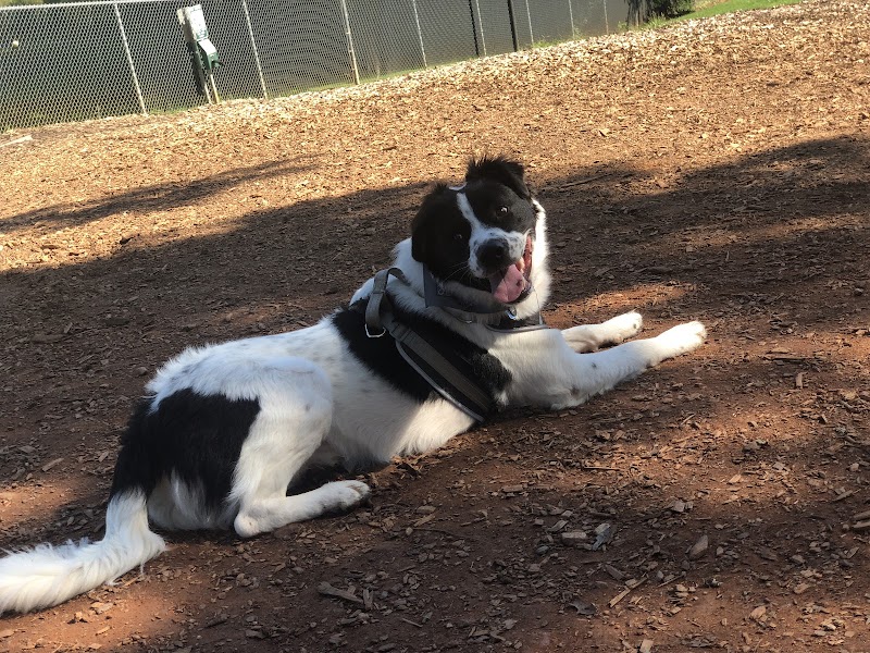 Dog Park at Leita Thompson - Roswell, GA