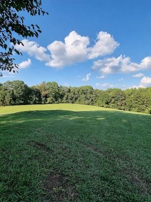 Dog Park at Leita Thompson