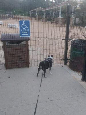 Schabarum Dog Park