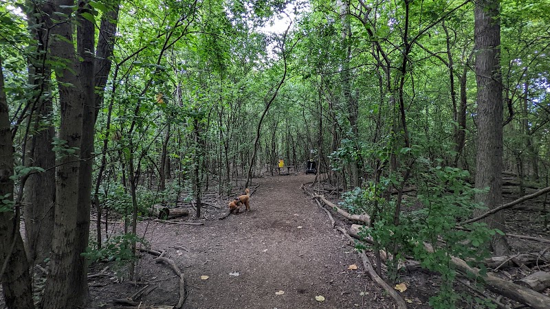 Mark Twain Dog Park-membership - Royal Oak, MI