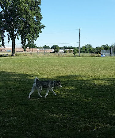 Mark Twain Dog Park-membership