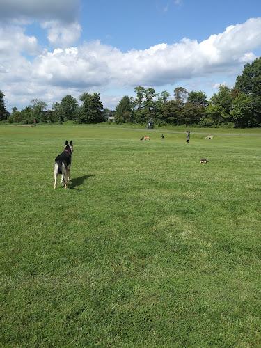 Limerick Community Park