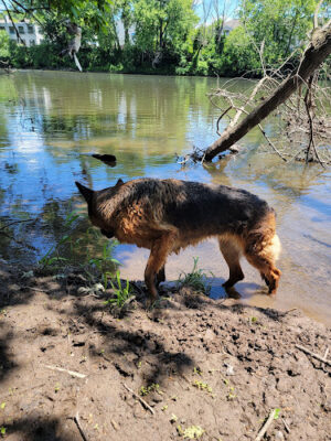 Royersford Riverfront Park