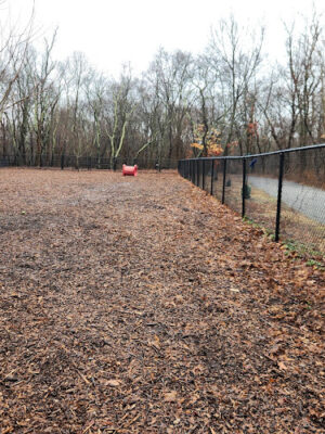 East Providence Dog Park