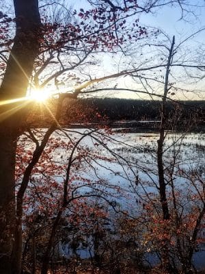 Oxbow Nature Preserve Lake Trail