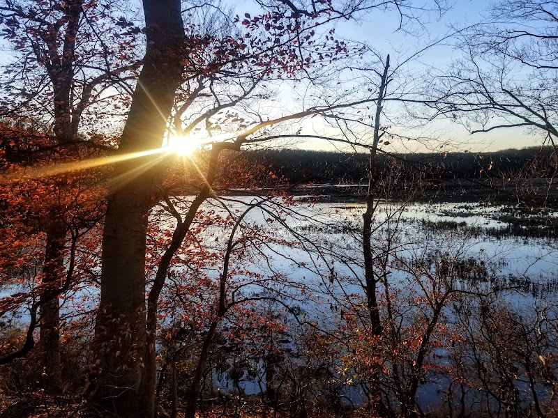 Oxbow Nature Preserve Lake Trail - Russett, MD