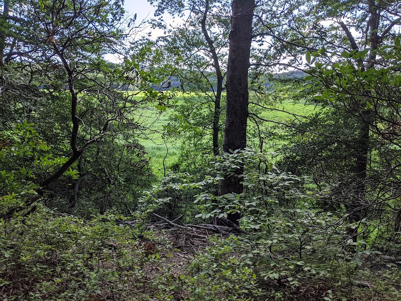 Oxbow Nature Preserve Lake Trail - Russett, MD