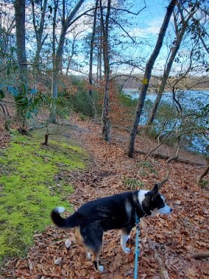 Oxbow Nature Preserve Lake Trail