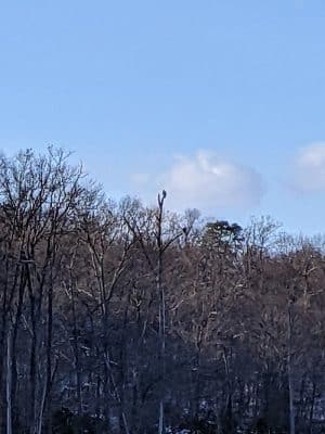 Oxbow Nature Preserve Lake Trail