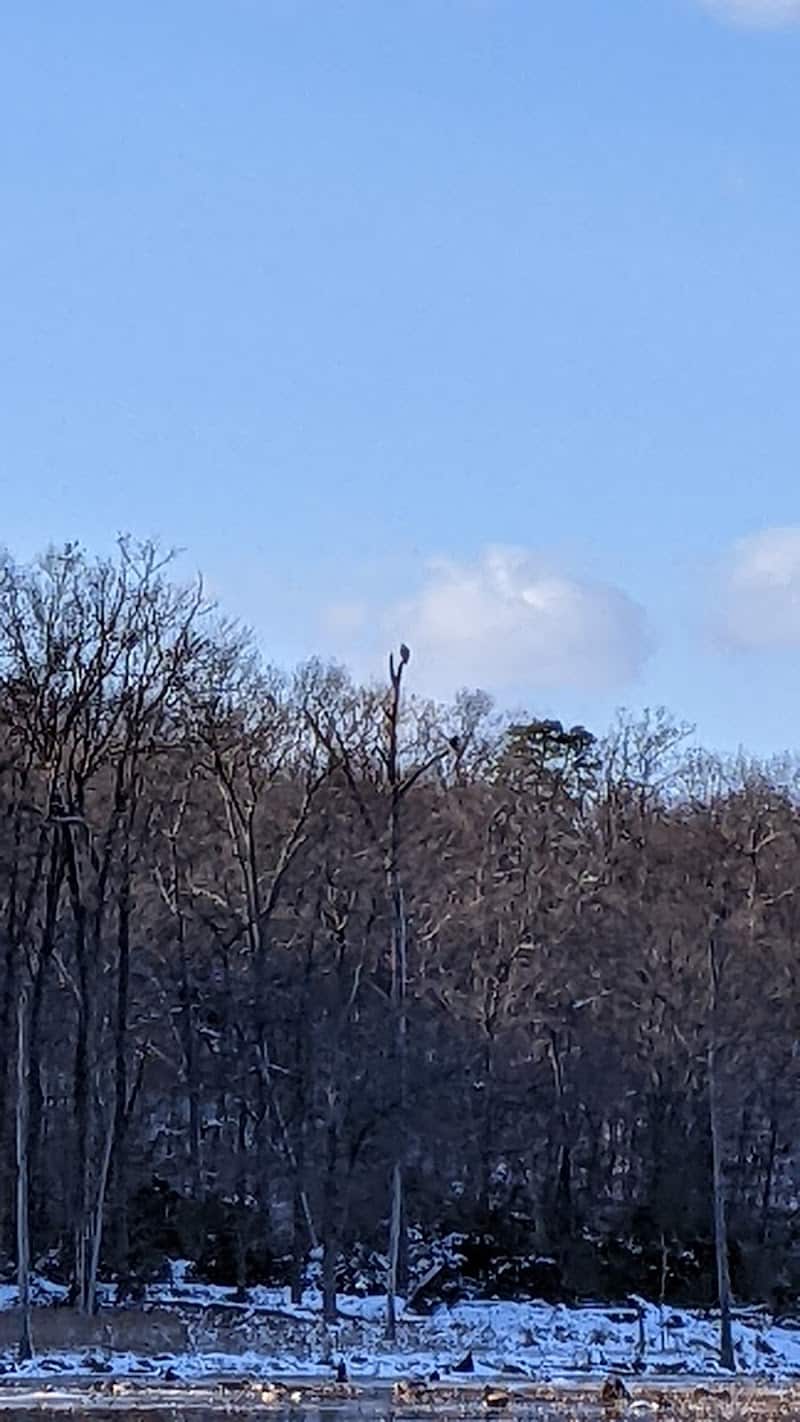 Oxbow Nature Preserve Lake Trail - Russett, MD