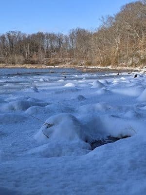 Oxbow Nature Preserve Lake Trail