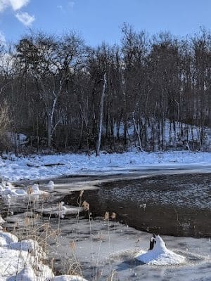 Oxbow Nature Preserve Lake Trail