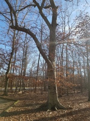 Oxbow Nature Preserve Lake Trail