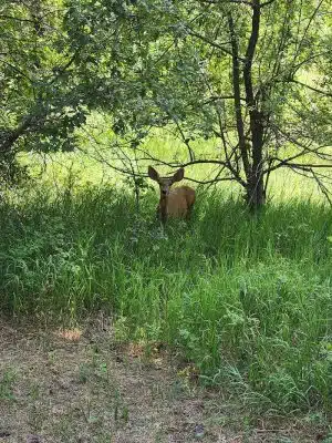 Rye Mountain Park - Rye, CO