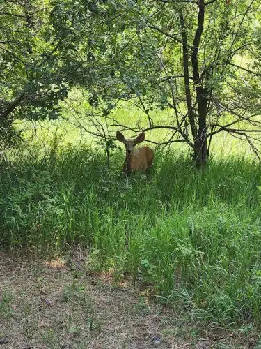 Rye Mountain Park - Rye, CO
