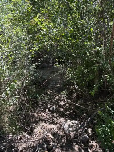 Rye Mountain Park - Rye, CO