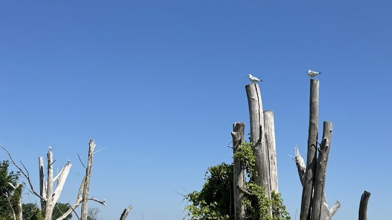 Bay-Zil Rail Trail - Saginaw, MI