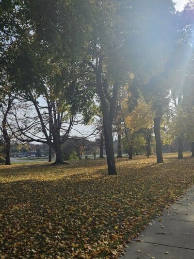 Hoyt Park - Saginaw, MI
