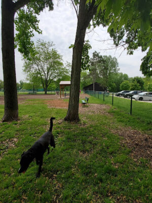 Imerman Memorial Park