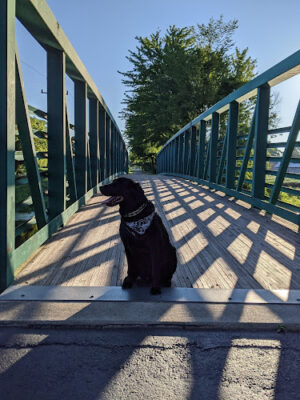 Saginaw Rail Trail Parking and Trail Head