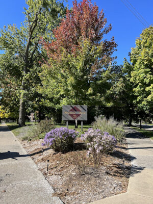 Weadock Park