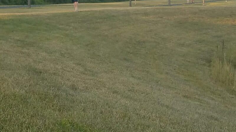 rainbow park - Saginaw, MI