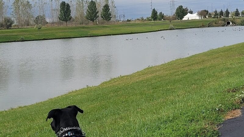 rainbow park - Saginaw, MI