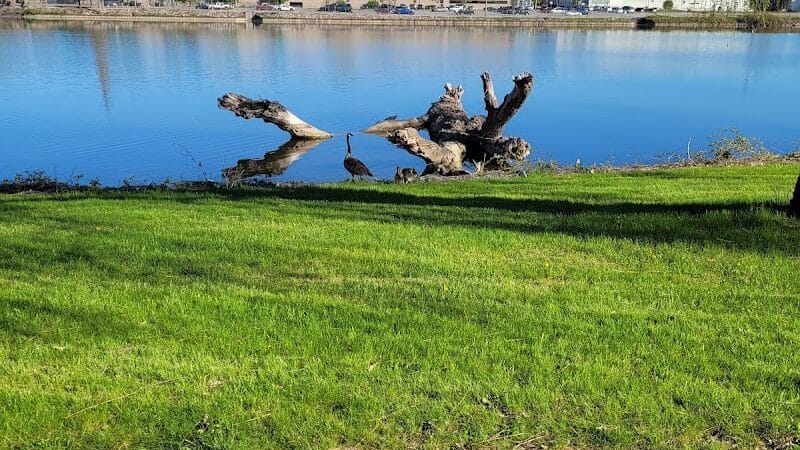 Rust Park - Saginaw, MI