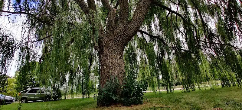 Wickes Park - Saginaw, MI
