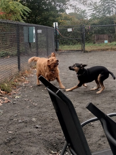 Swampscott Dog Park