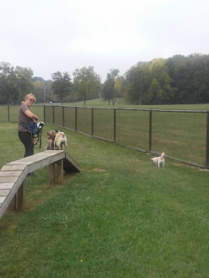 Mill Pond Park
