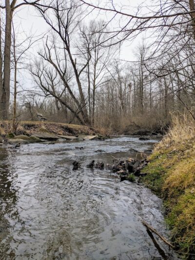 Mill Pond Park - Saline, MI