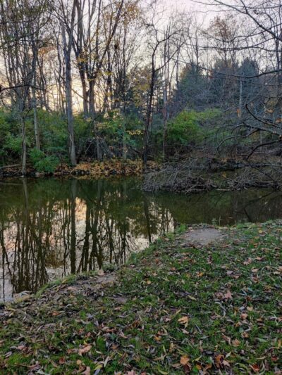Mill Pond Park - Saline, MI