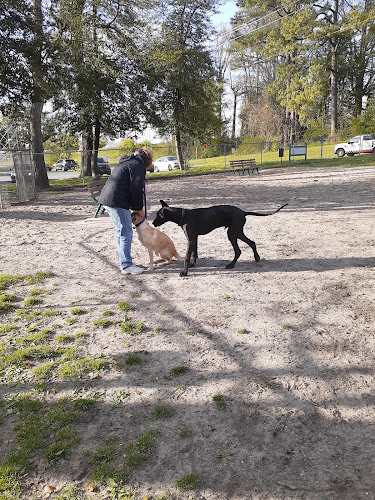 Salisbury City Dog Park - Salisbury, MD
