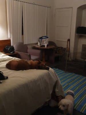 Sheffler's Motel - Salome, AZ