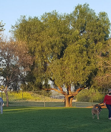 San Dimas Dog Park